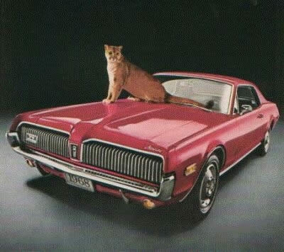 Mercury 68 Cougar
